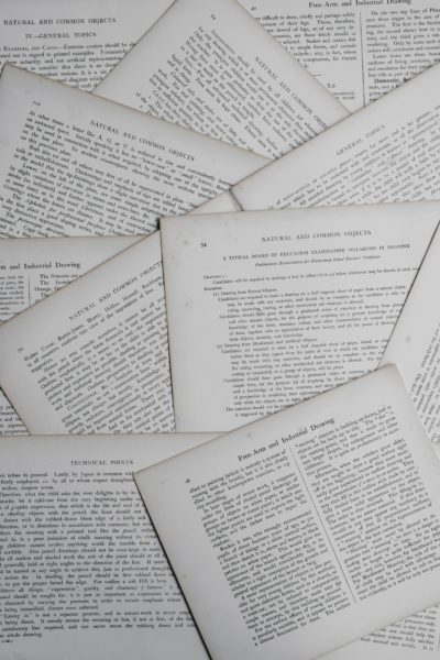 annie-spratt-_dAnK9GJvdY-unsplash